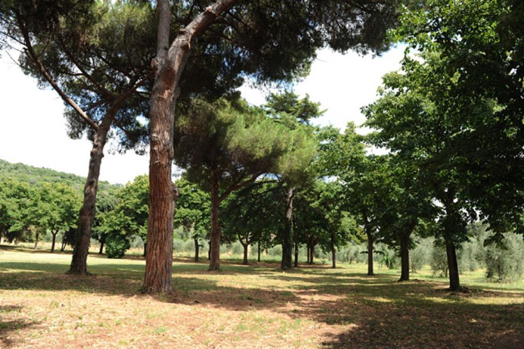 Villa Boldrini B&B 벤투리나 외부 사진